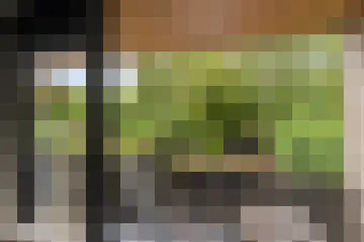 Kaspischestraat 8 Emmeloord thumbnail 51