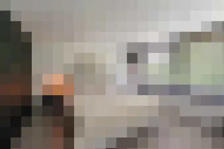 Kaspischestraat 8 Emmeloord thumbnail 52