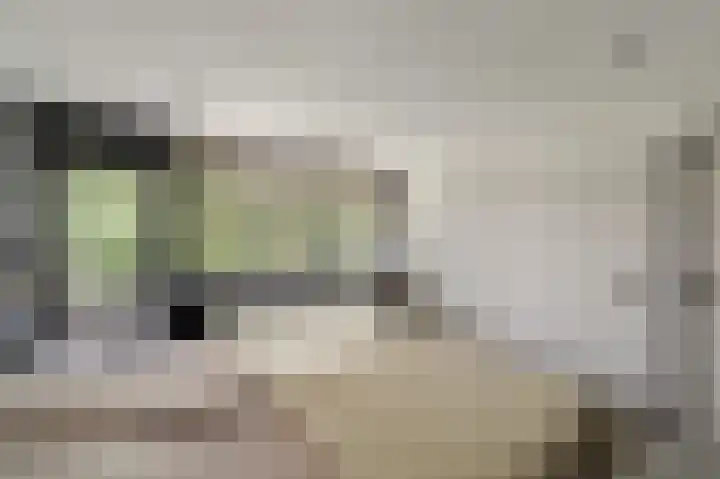 Kaspischestraat 8 Emmeloord thumbnail 53