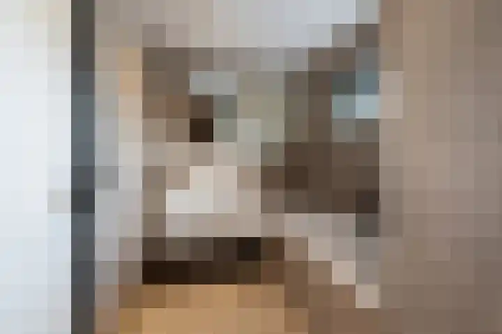 Kaspischestraat 8 Emmeloord thumbnail 56