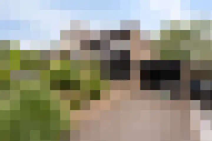 Kaspischestraat 8 Emmeloord thumbnail 6