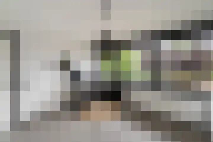 Kaspischestraat 8 Emmeloord thumbnail 61