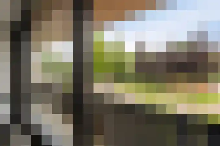 Kaspischestraat 8 Emmeloord thumbnail 64