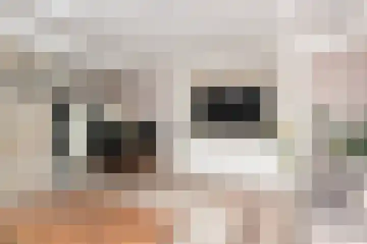 Kasselbruin 41 Zoetermeer thumbnail 13