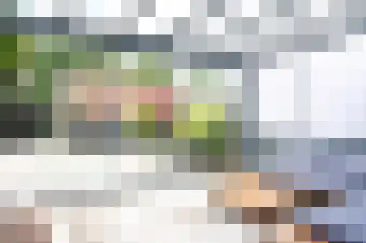 Kasselbruin 41 Zoetermeer thumbnail 15