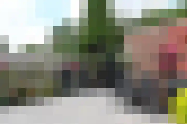 Kasselbruin 41 Zoetermeer thumbnail 16