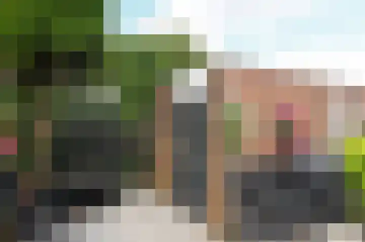 Kasselbruin 41 Zoetermeer thumbnail 17