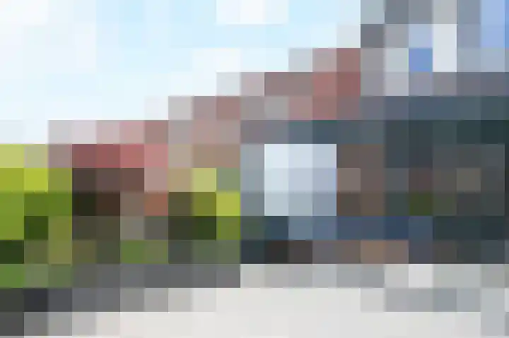 Kasselbruin 41 Zoetermeer thumbnail 18