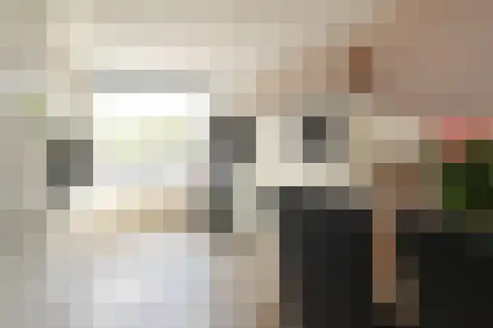 Kasselbruin 41 Zoetermeer thumbnail 22
