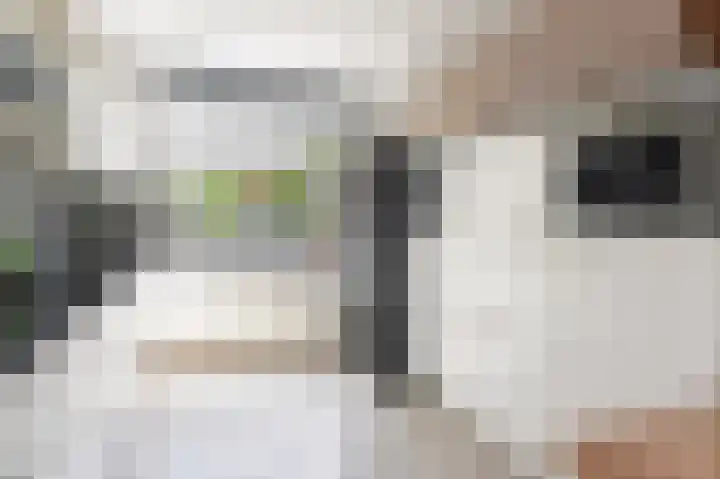 Kasselbruin 41 Zoetermeer thumbnail 23