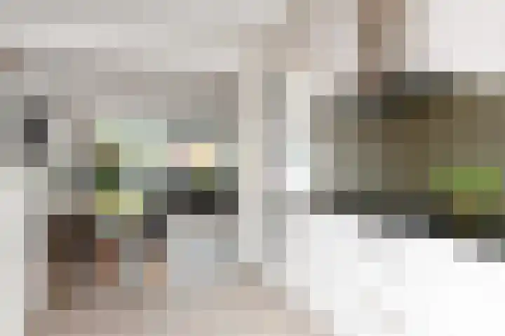 Kasselbruin 41 Zoetermeer thumbnail 24