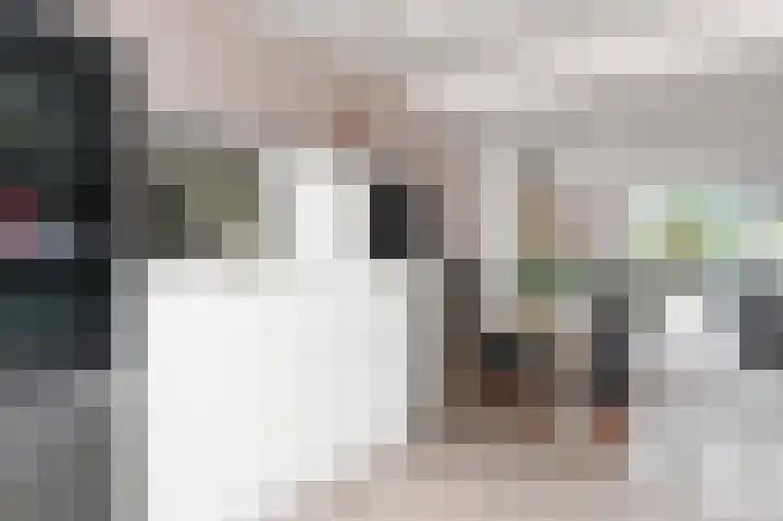 Kasselbruin 41 Zoetermeer thumbnail 26