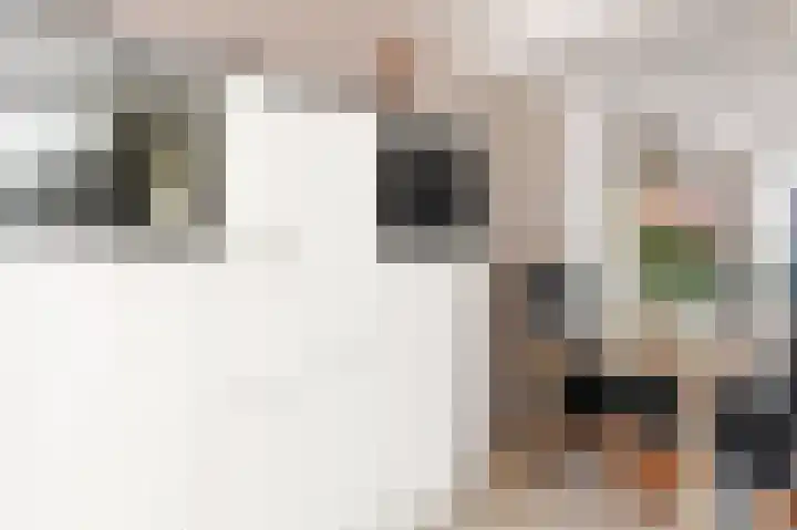 Kasselbruin 41 Zoetermeer thumbnail 27