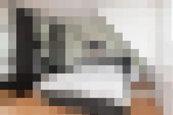 Kasselbruin 41 Zoetermeer thumbnail 30