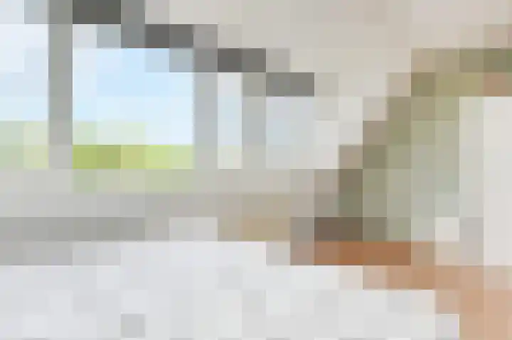 Kasselbruin 41 Zoetermeer thumbnail 31
