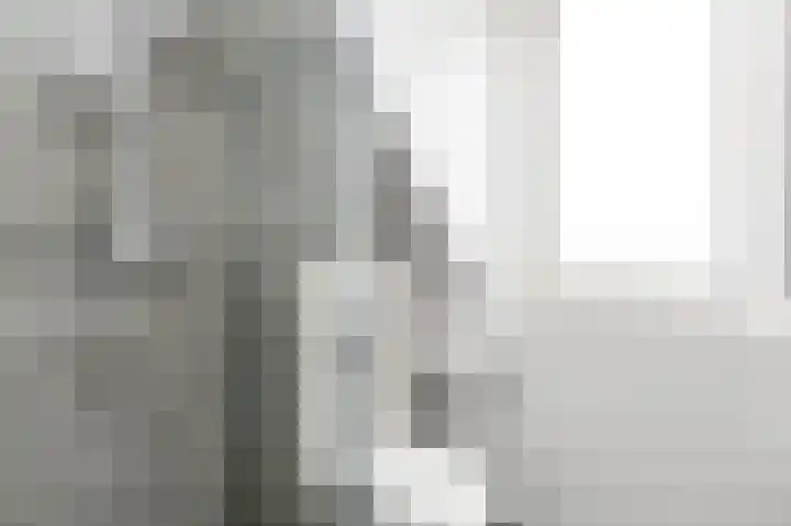 Kasselbruin 41 Zoetermeer thumbnail 32