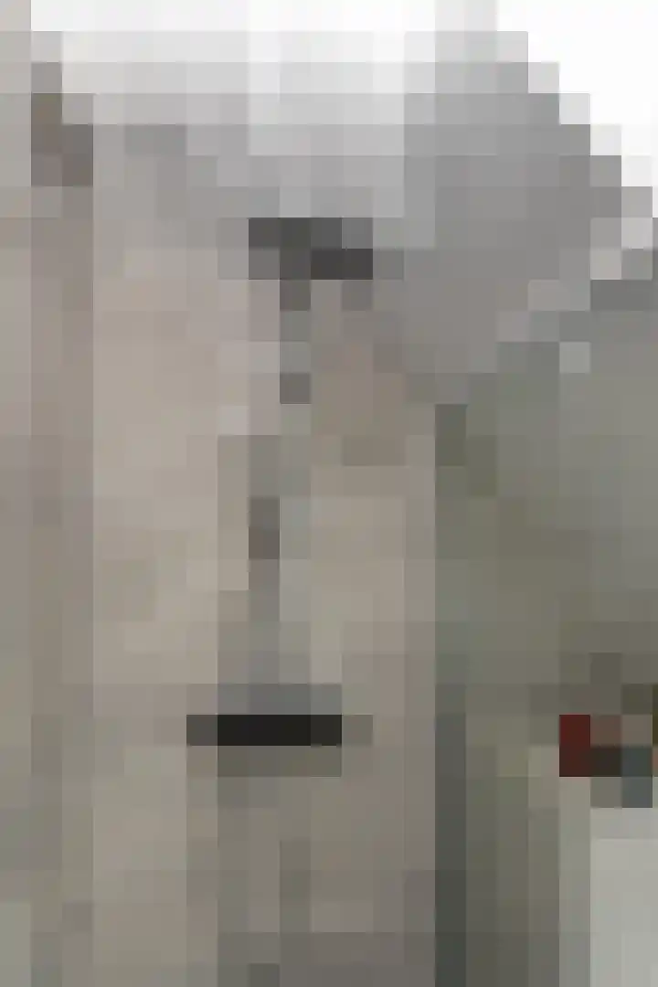 Kasselbruin 41 Zoetermeer thumbnail 34