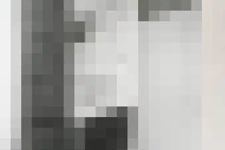 Kasselbruin 41 Zoetermeer thumbnail 35