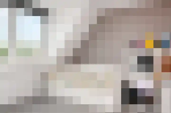 Kasselbruin 41 Zoetermeer thumbnail 36