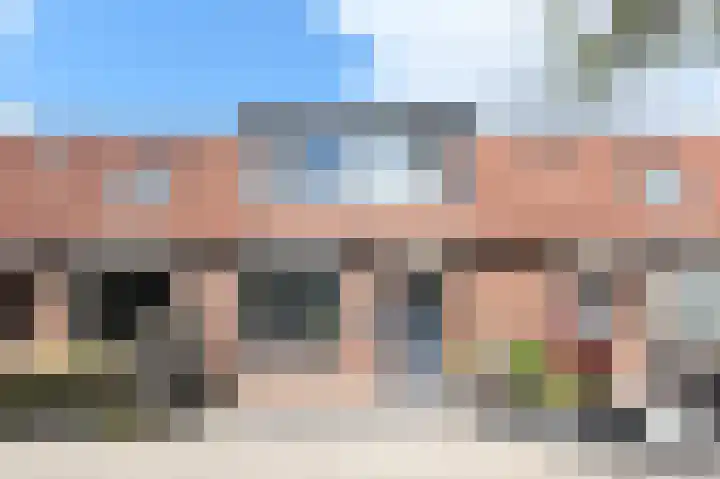 Kasselbruin 41 Zoetermeer thumbnail 38