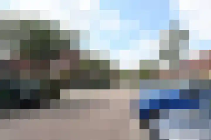 Kasselbruin 41 Zoetermeer thumbnail 39