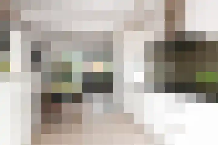 Kasselbruin 41 Zoetermeer thumbnail 4
