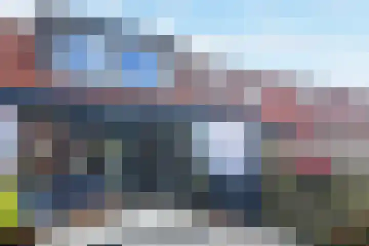 Kasselbruin 41 Zoetermeer thumbnail 5