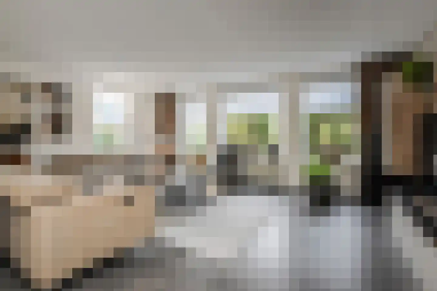 Kasselbruin 8 Zoetermeer thumbnail 10