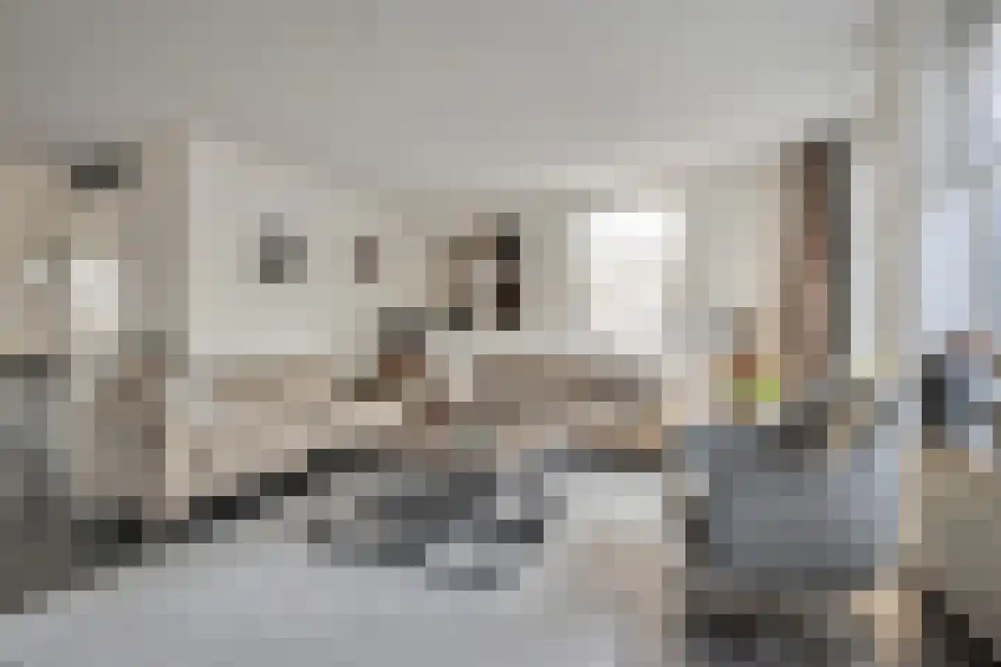 Kasselbruin 8 Zoetermeer thumbnail 11