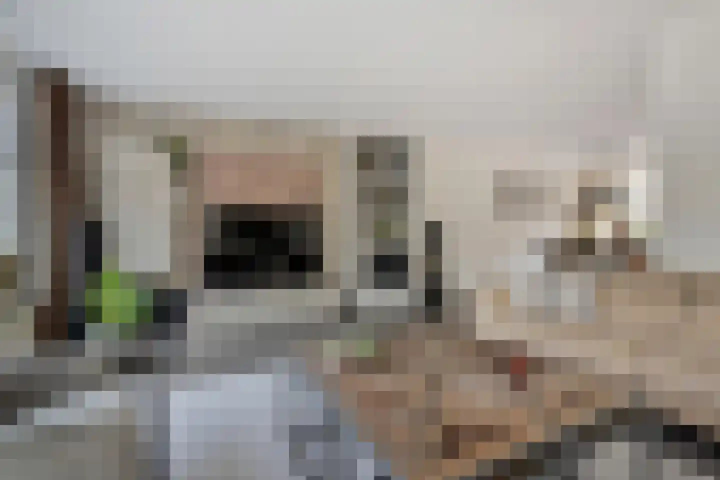 Kasselbruin 8 Zoetermeer thumbnail 12
