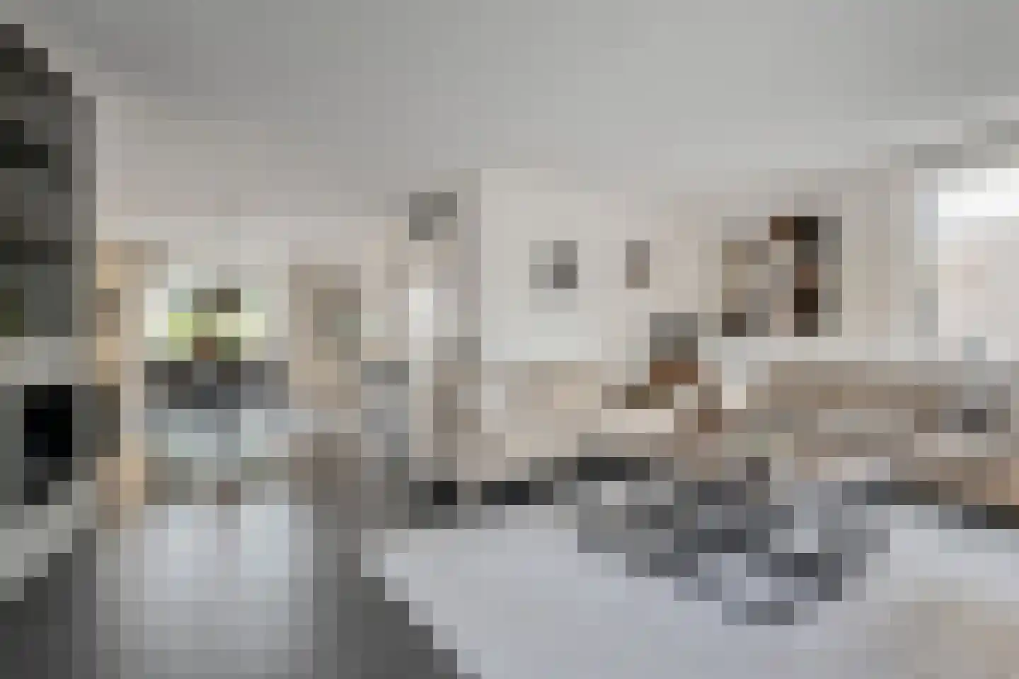 Kasselbruin 8 Zoetermeer thumbnail 13