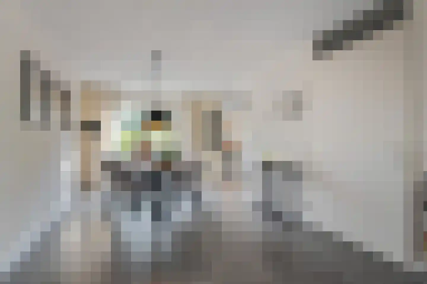 Kasselbruin 8 Zoetermeer thumbnail 14