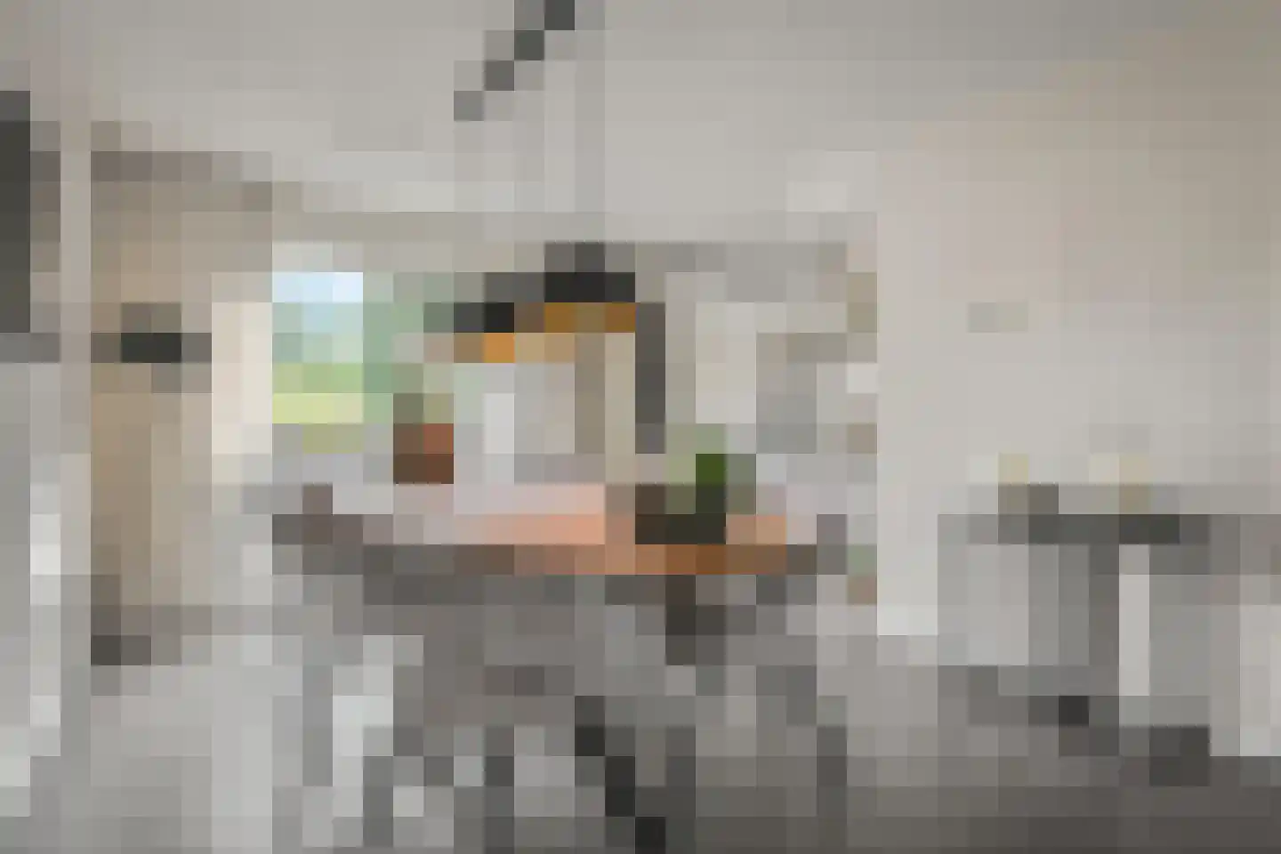 Kasselbruin 8 Zoetermeer thumbnail 15