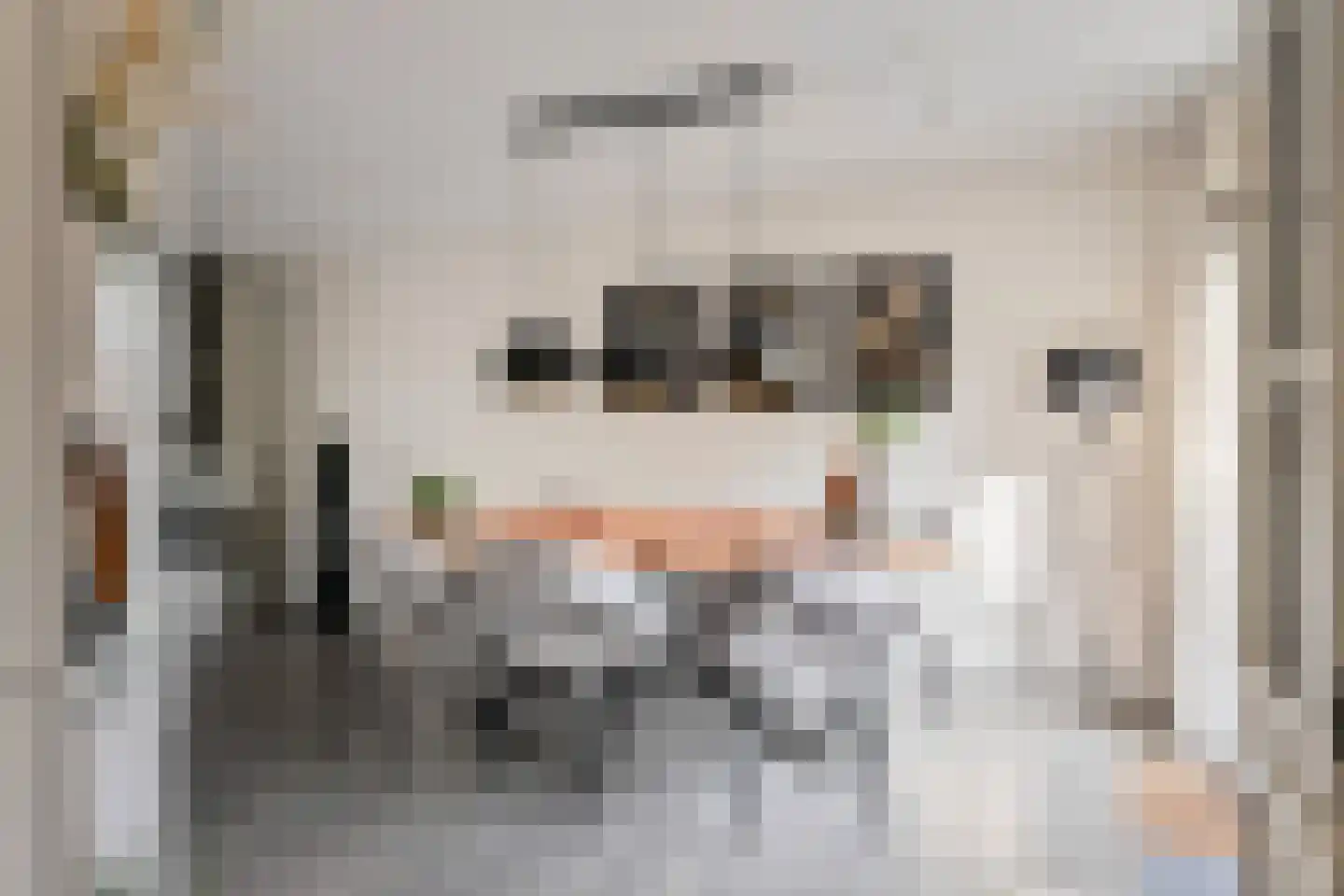 Kasselbruin 8 Zoetermeer thumbnail 16