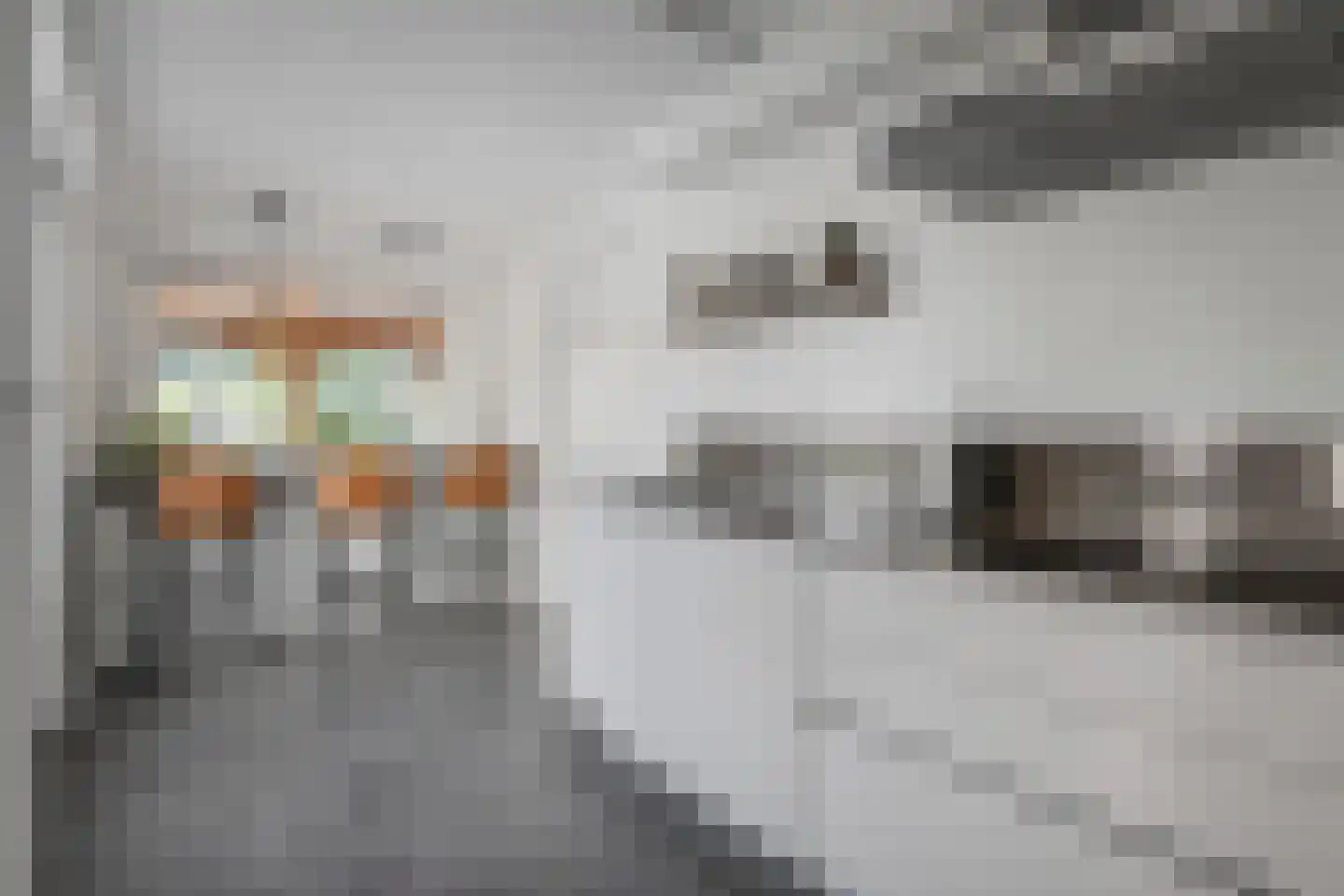 Kasselbruin 8 Zoetermeer thumbnail 17