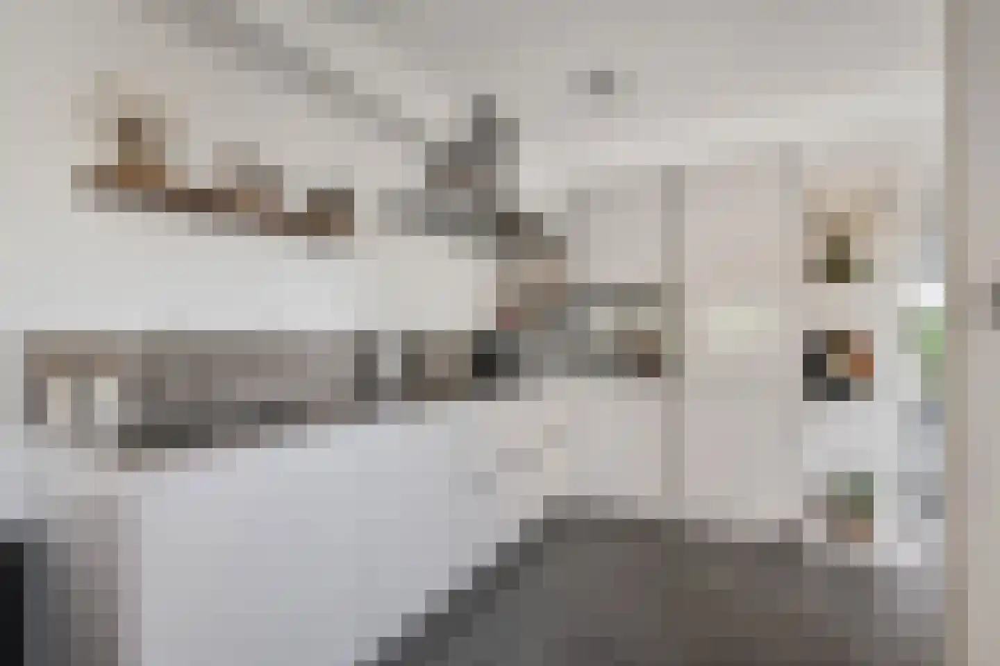 Kasselbruin 8 Zoetermeer thumbnail 18