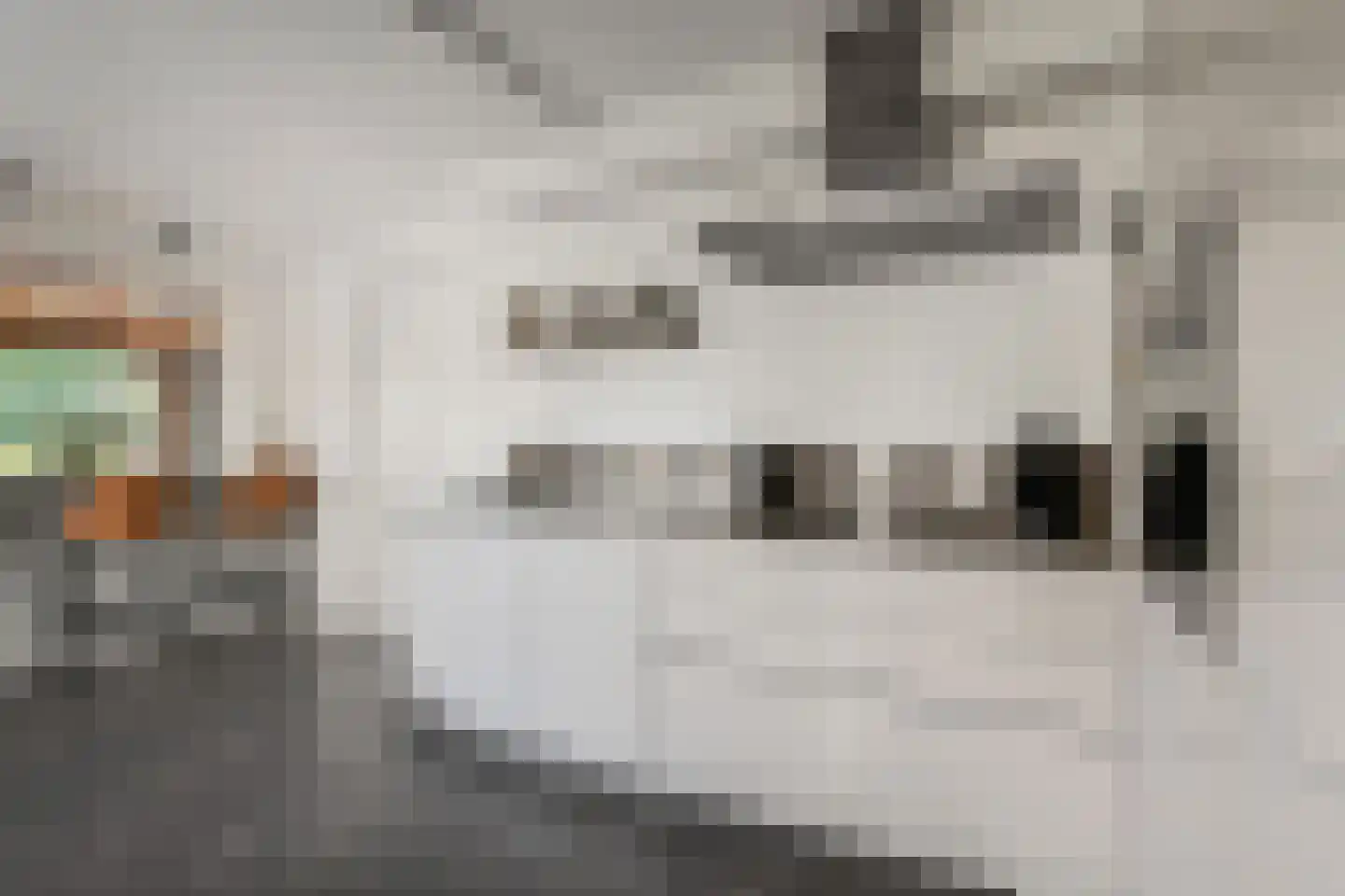 Kasselbruin 8 Zoetermeer thumbnail 26