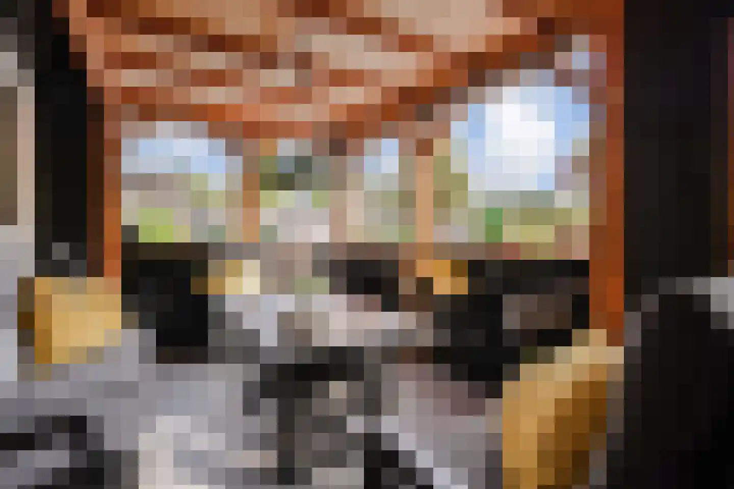 Kasselbruin 8 Zoetermeer thumbnail 30