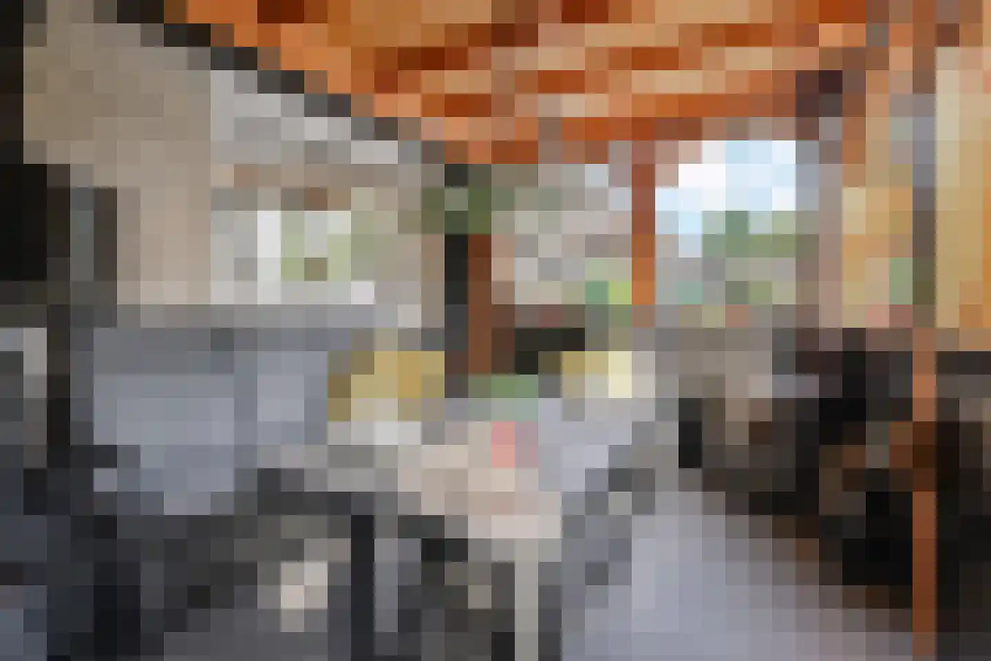 Kasselbruin 8 Zoetermeer thumbnail 31