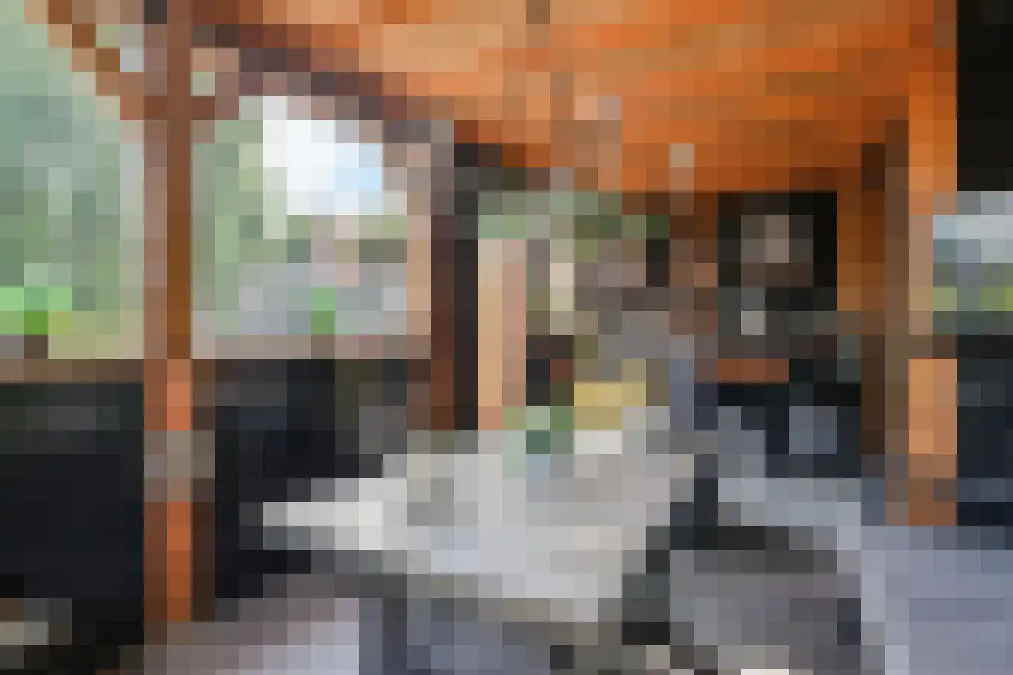 Kasselbruin 8 Zoetermeer thumbnail 32