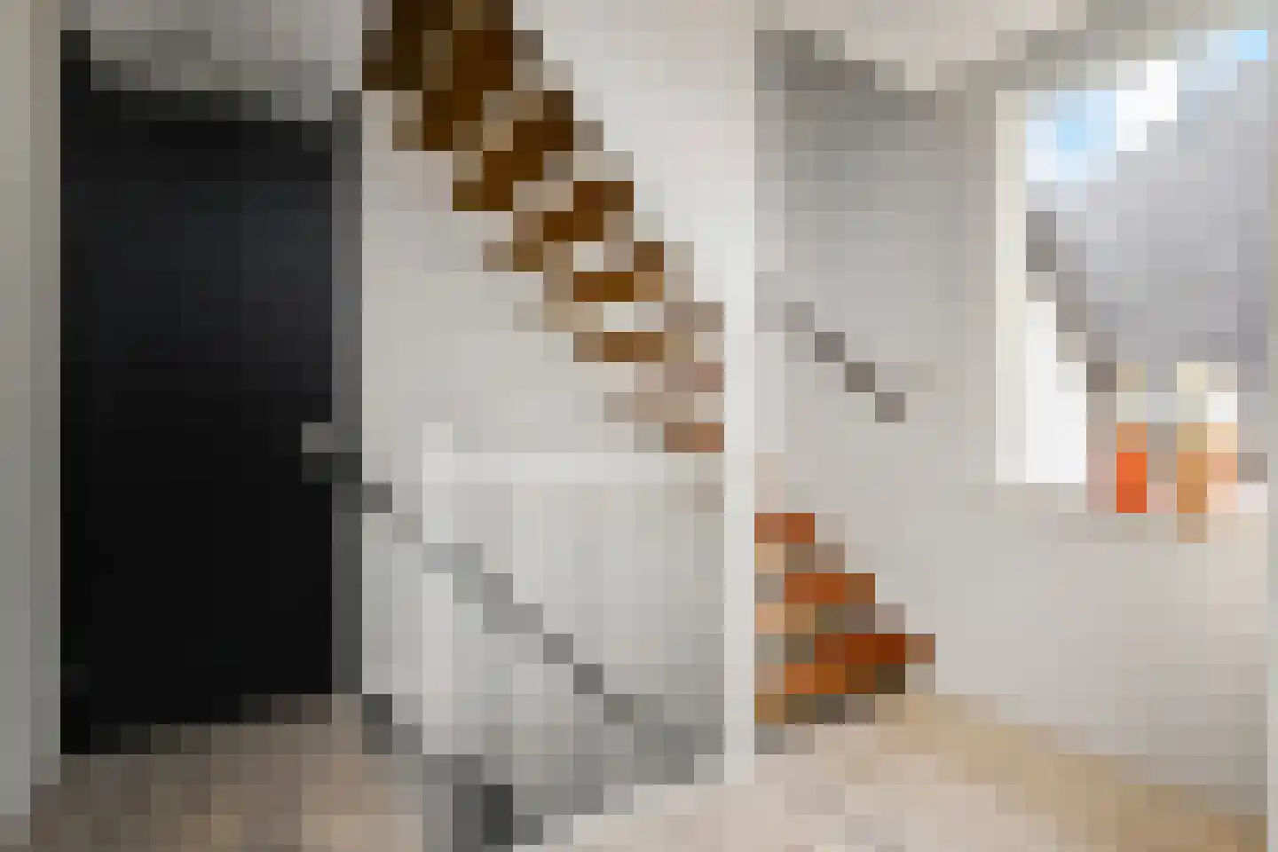 Kasselbruin 8 Zoetermeer thumbnail 33
