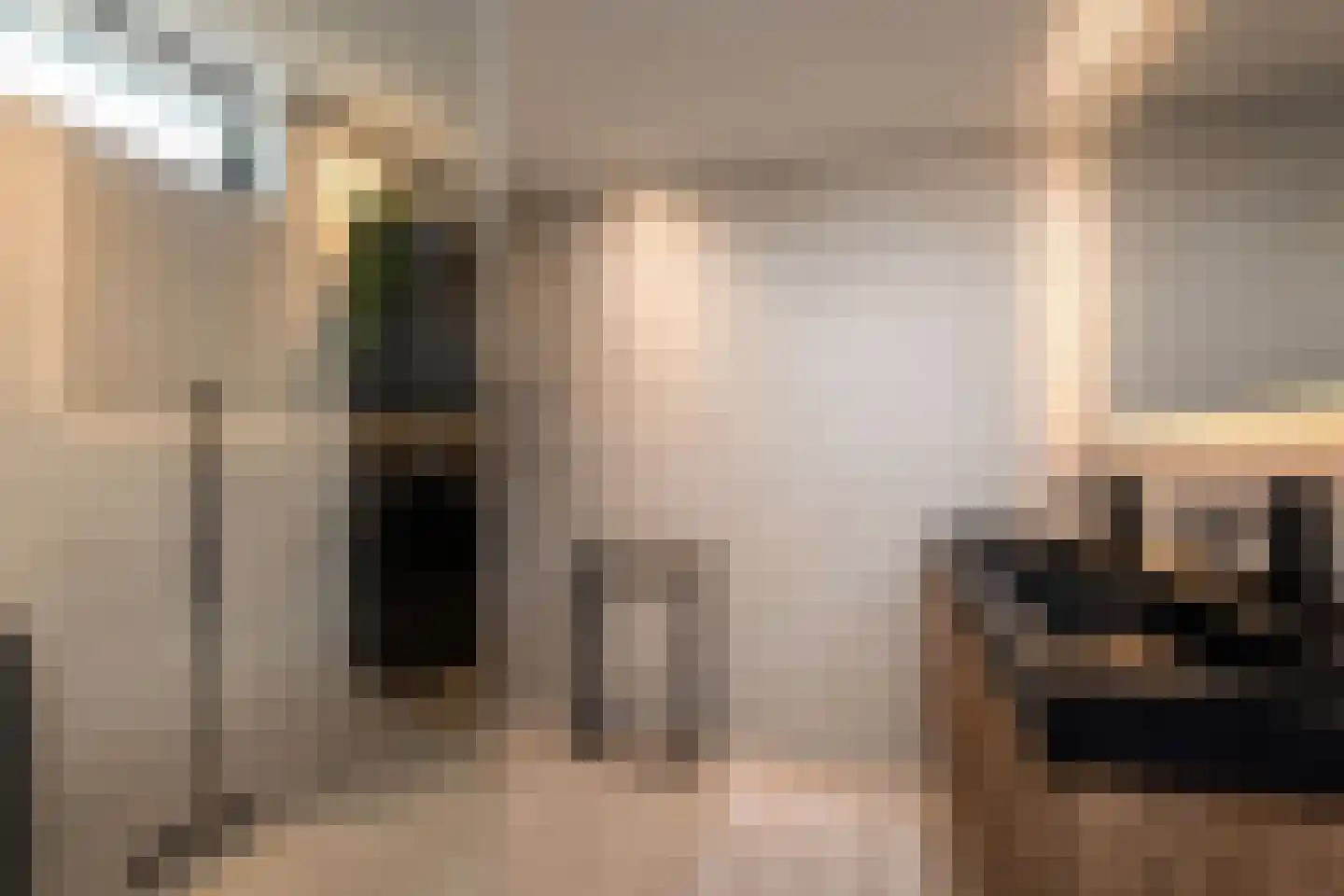 Kasselbruin 8 Zoetermeer thumbnail 34