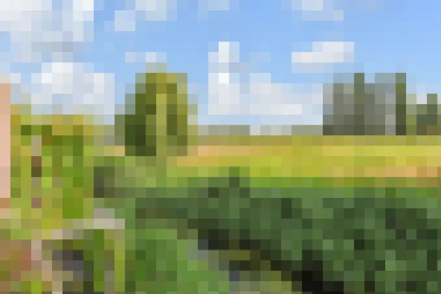 Kasselbruin 8 Zoetermeer thumbnail 35