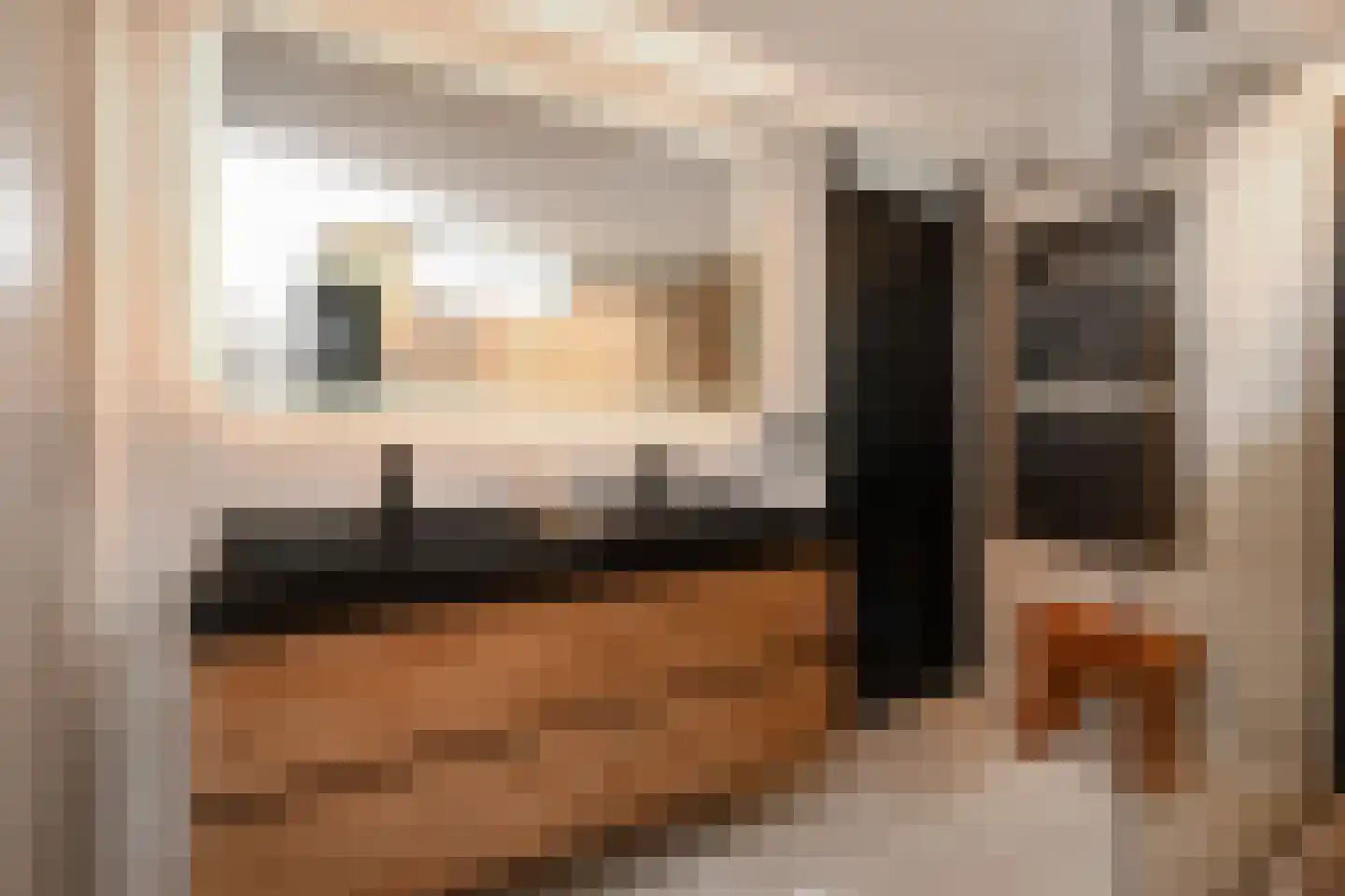 Kasselbruin 8 Zoetermeer thumbnail 37