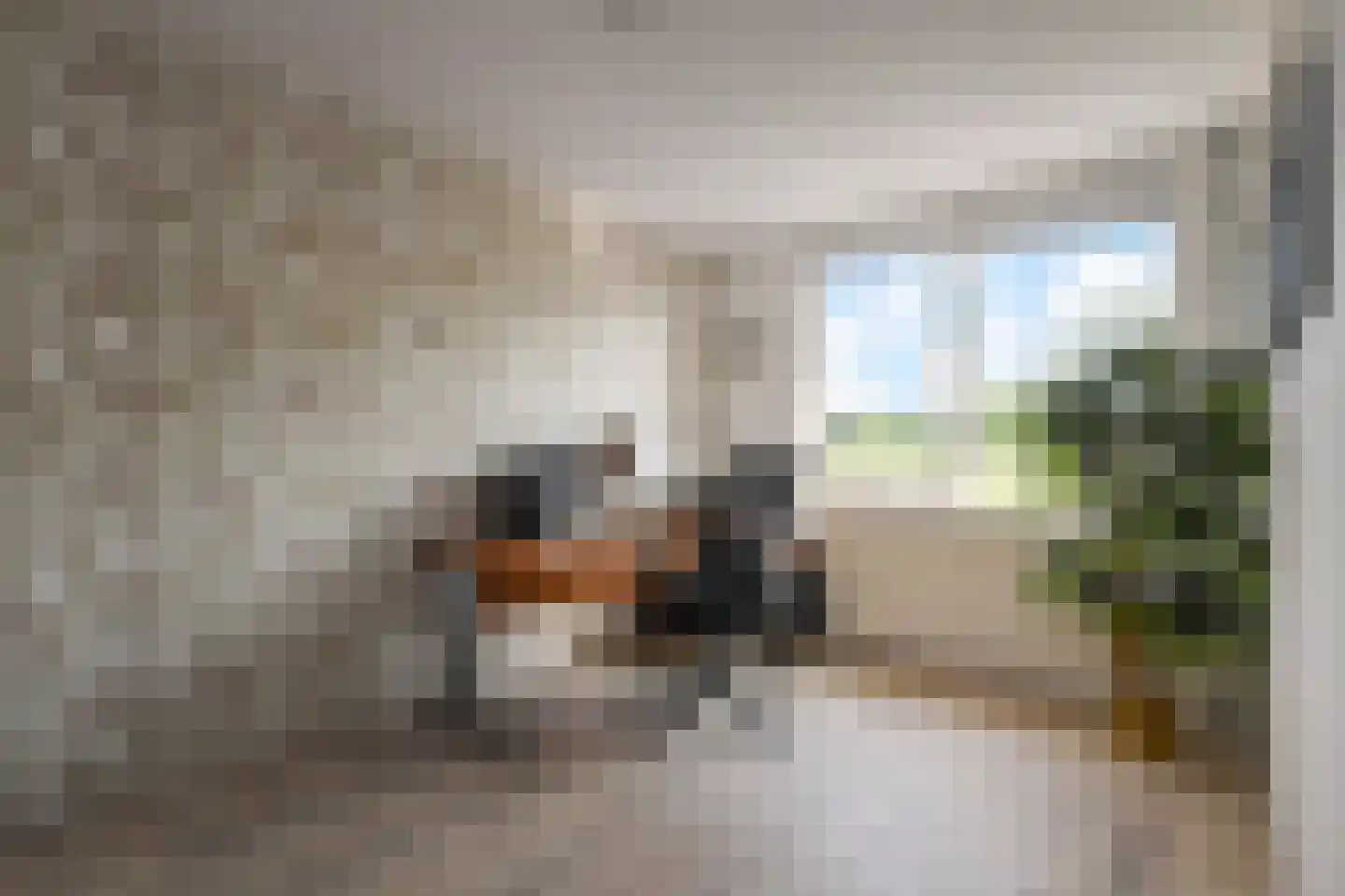 Kasselbruin 8 Zoetermeer thumbnail 38