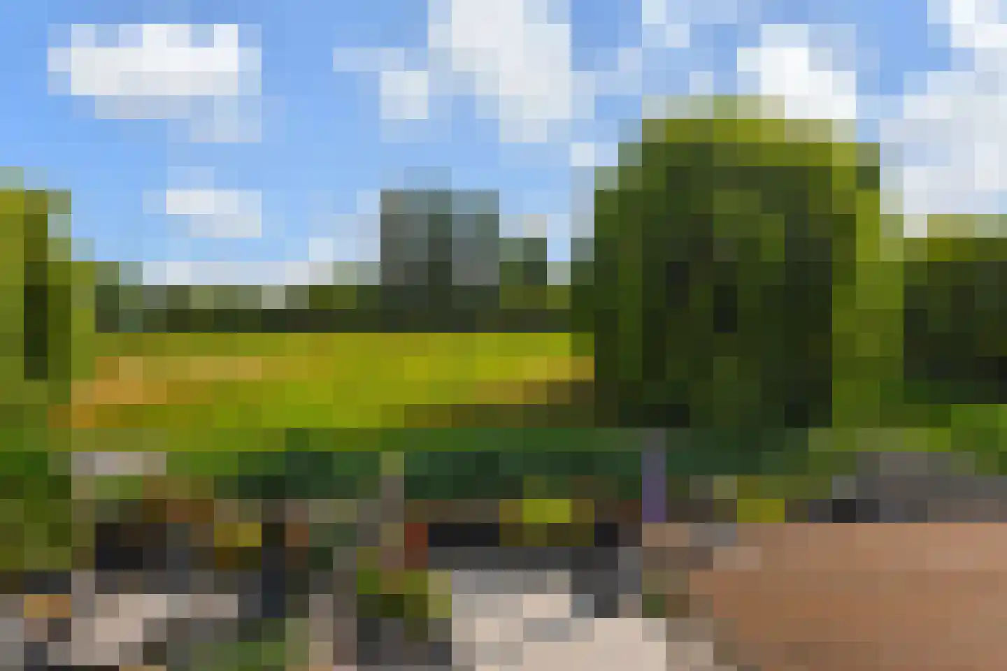 Kasselbruin 8 Zoetermeer thumbnail 39