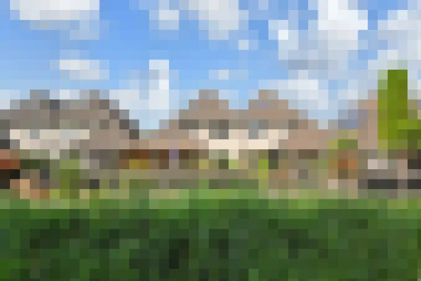 Kasselbruin 8 Zoetermeer thumbnail 4
