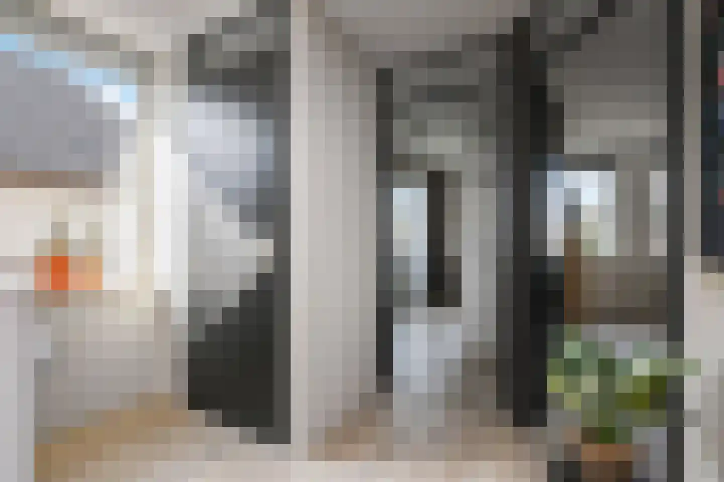 Kasselbruin 8 Zoetermeer thumbnail 40