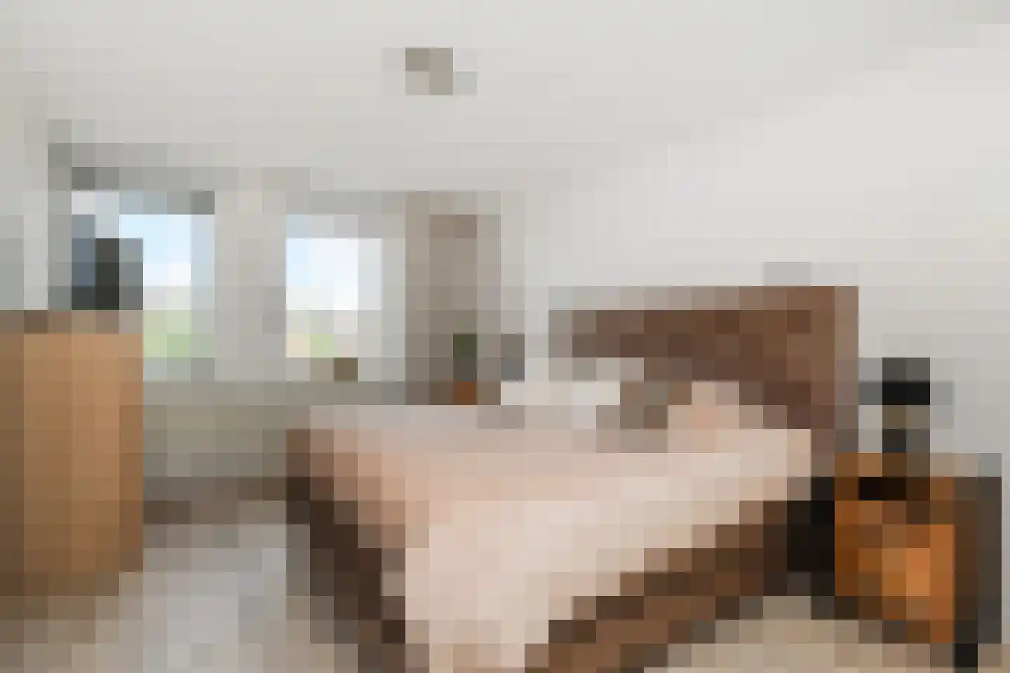 Kasselbruin 8 Zoetermeer thumbnail 41