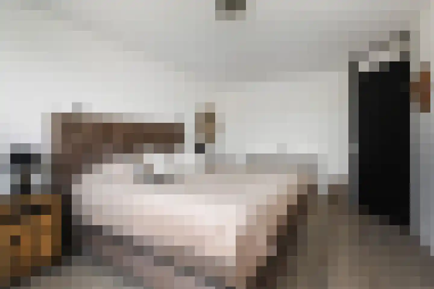 Kasselbruin 8 Zoetermeer thumbnail 42